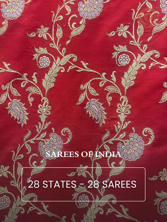28 States - 28 Sarees: A Globally-Trending Legacy
