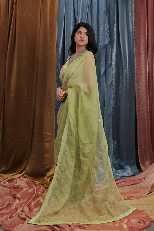 The Aaliyah Saree